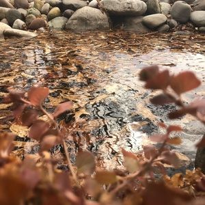 Meet your Posher, Nadiia